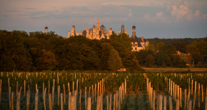 Visit Chambord's vineyard © Léonard de Serres .jpg