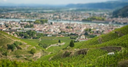 Tain l'Hermitage wine growing on terraces informative trip cote du rhone ©Inter Rhône
