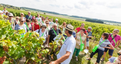 Vines Wines and Walks in the Loire Valley @Interloire - Stevens Fremont