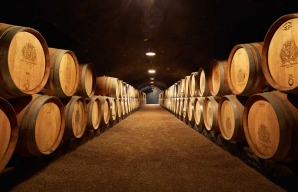 Wine cellar in the vineyard of Burgundy © Château de Pommard