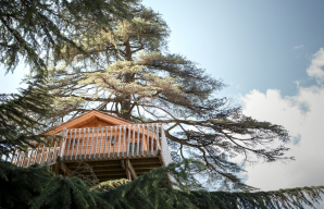 The tree house at Château Franc Mayne © Julie Rey