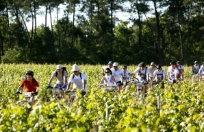 Vignes Vélo Bordeaux © Philippe Roy