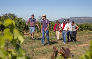 Walks in the vineyards wine tasting cellar tours in Provence ©S. Spiteri