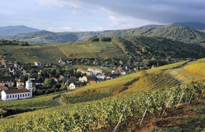 Fortified castles wines from Alsace and fine food ©Z-Vardon-conseil-vins-alsace