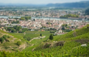 Tain l'Hermitage wine growing on terraces informative trip cote du rhone ©Inter Rhône
