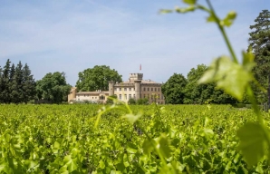 Villa Beaulieu maison d'hôtes et vignoble en Provence © S. Spiteri