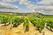 Vignoble de Sancerre foire aux vins val de loire ©CRT Centre Val de Loire