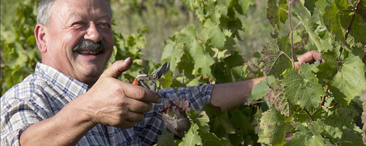 Jean-Luc Matha, Marcillac, South West vineyard