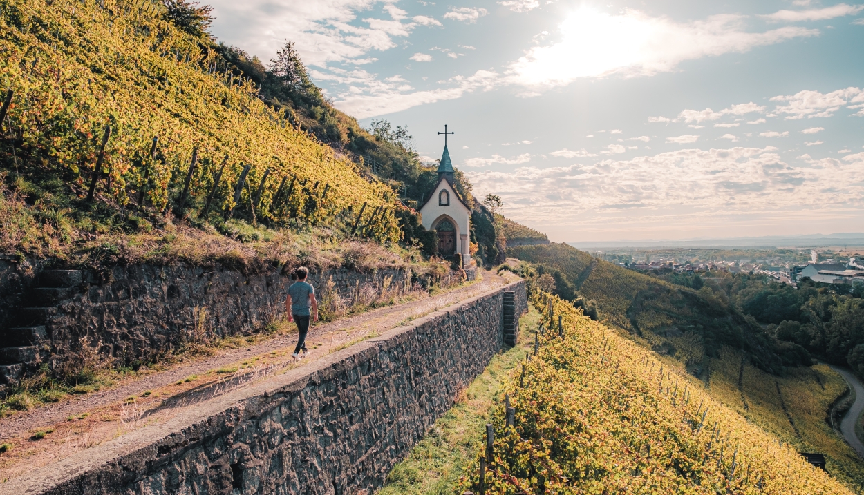 Fascinant Week-end dans le vignoble d’Alsace © Lez Broz - Visit Alsace