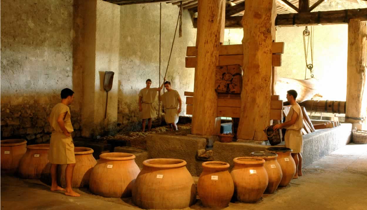 Spend the day at a Roman wine harvest | The greatest destinations in ...