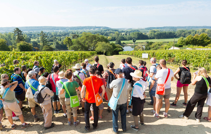 Vines, Wines and Walks discovery tours in the Loire Valley @Interloire - Stevens Fremont