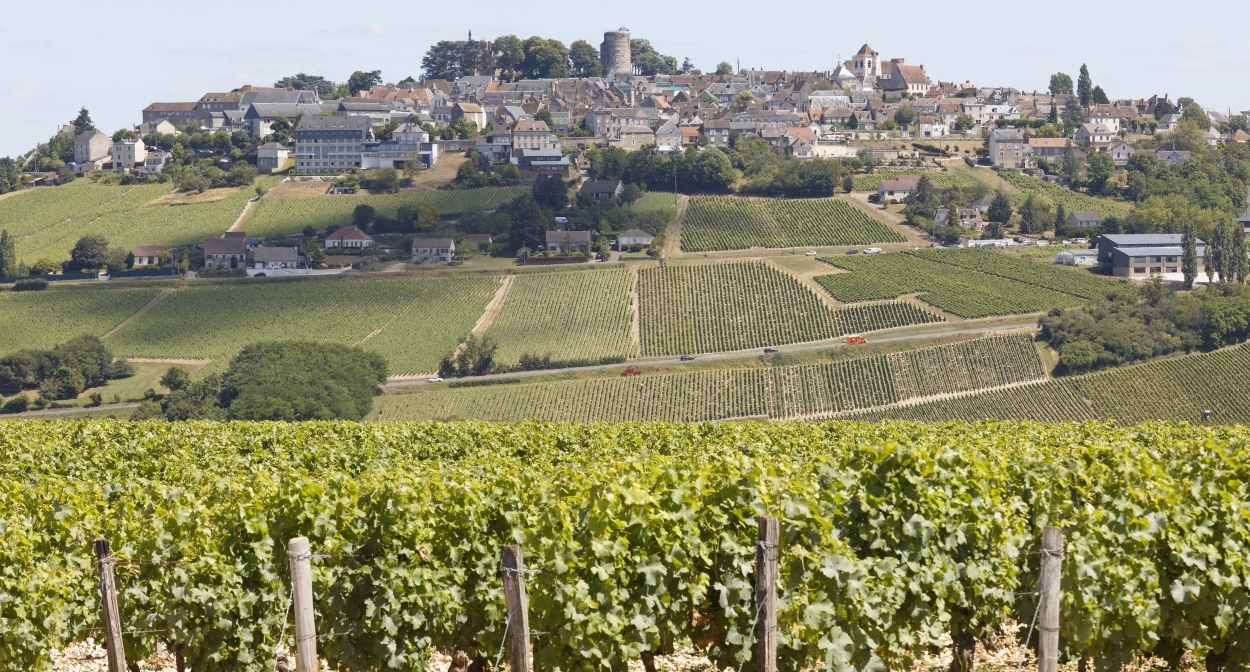 Vignes et Village de Sancerre © C. Mouton – CRT Centre Val de Loire