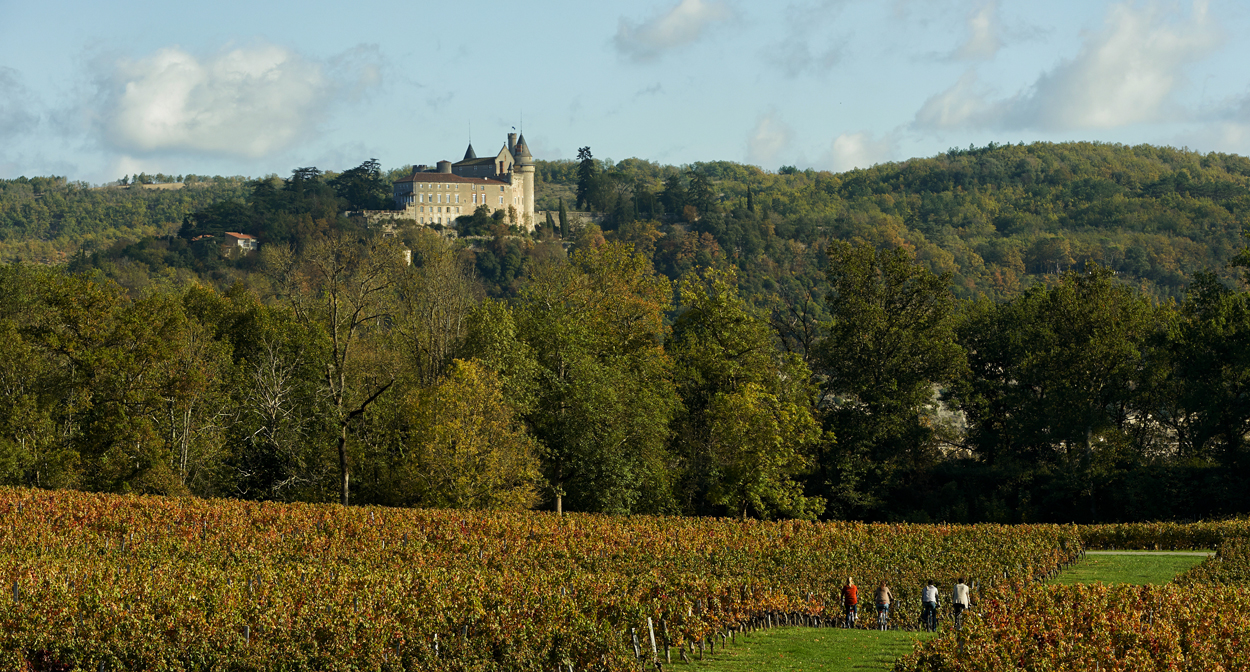 Cahors vineyard